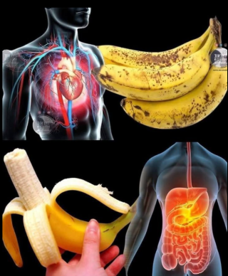 Czy wiesz, że jedzenie bananów zwiększa… Zobacz więcej