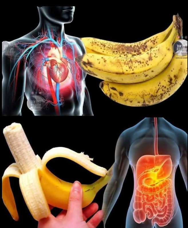 Czy wiesz, że jedzenie bananów zwiększa… Zobacz więcej