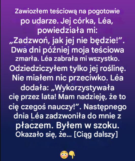 Nieoczekiwany spadek: ukryta wartość skromnej doniczki