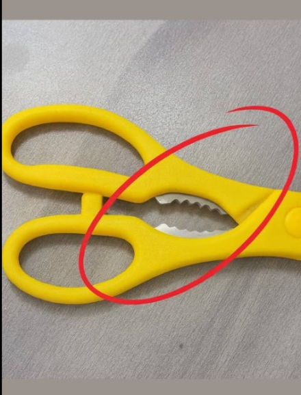 „Do czego służy ząbkowana część nożyczek kuchennych?”