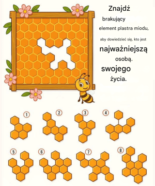 Znajdź brakujący element wzoru plastra miodu i odkryj, kto idzie obok ciebie.