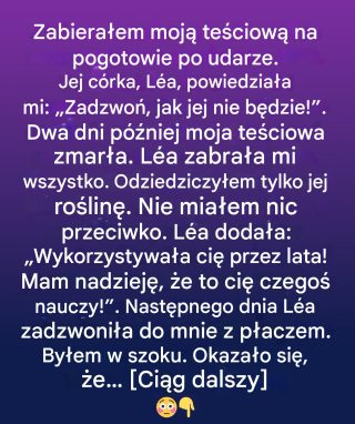 Odziedziczyłem tylko starą roślinę. Prawda, którą zawierała, zmieniła wszystko.