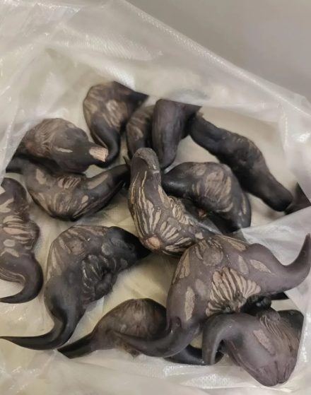 Sąsiedzi z zagranicy dali mi to i życzyli smacznego: ale to coś twardego i wcale nie przypomina jedzenia, raczej jajko