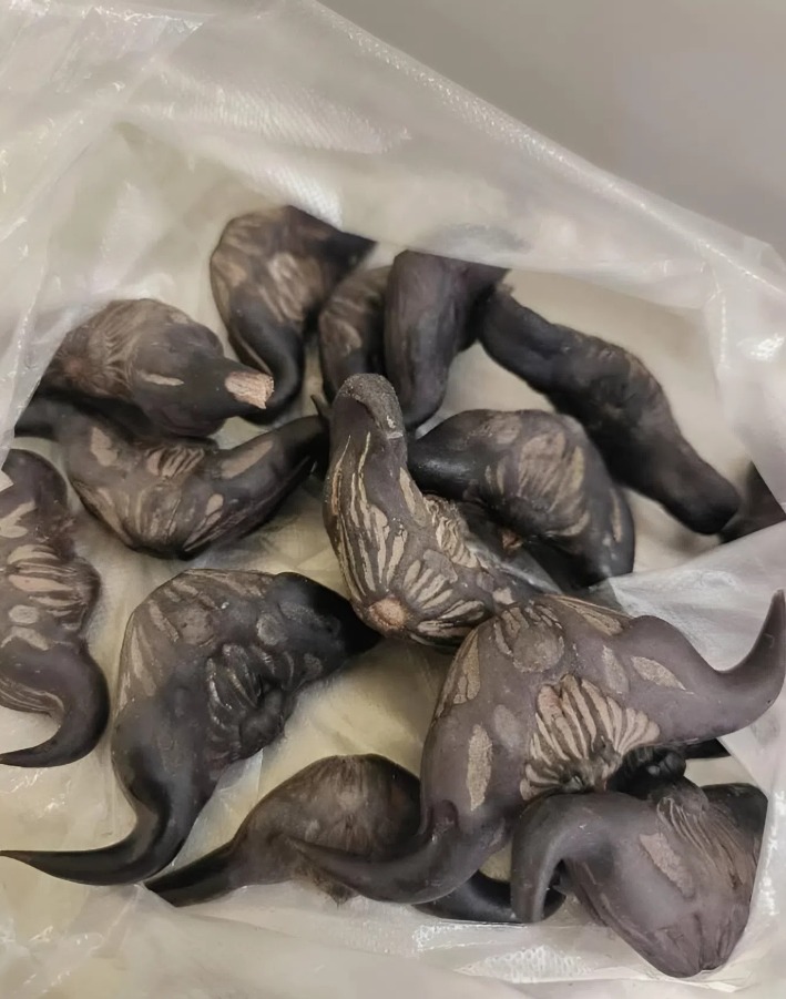 Sąsiedzi z zagranicy dali mi to i życzyli smacznego: ale to coś twardego i wcale nie przypomina jedzenia, raczej jajko