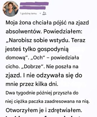 Myślałem, że ona „nic” nie robiła przez cały dzień — ale jedno pudełko pokazało mi, że się myliłem