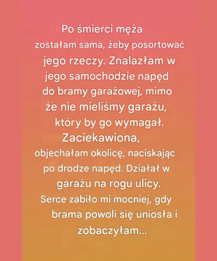 Tajemniczy otwieracz garażu zaprowadził mnie do jego cichej dobroci