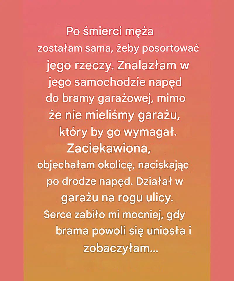 Tajemniczy otwieracz garażu zaprowadził mnie do jego cichej dobroci